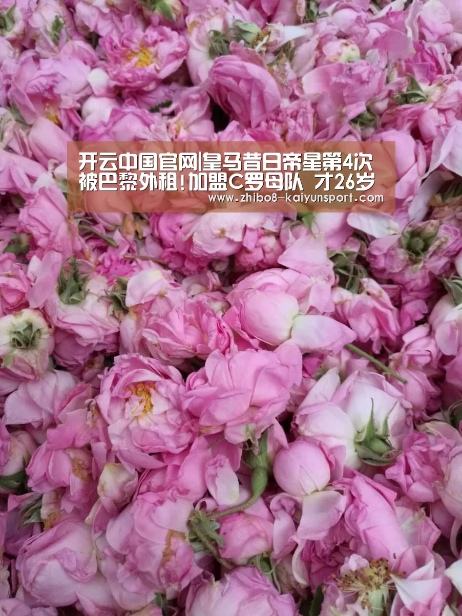 开云官方平台
