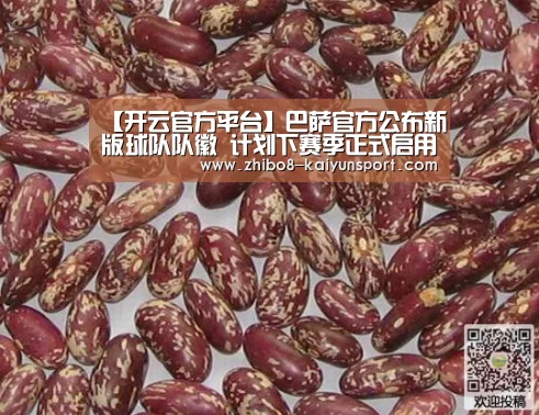 开云官方平台